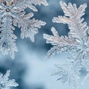 Highly rated seller!